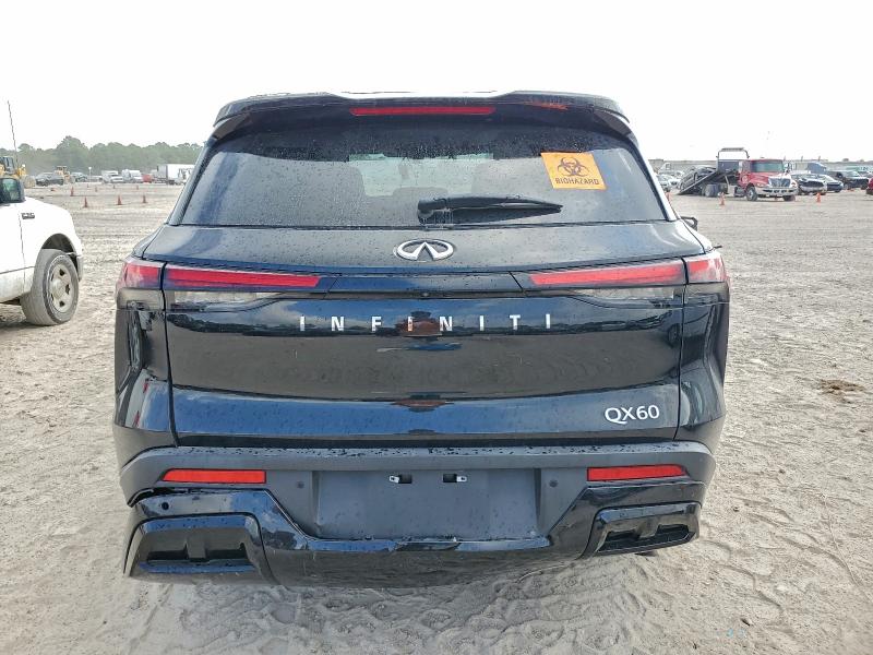 2024 INFINITI QX60 PURE #3301593629