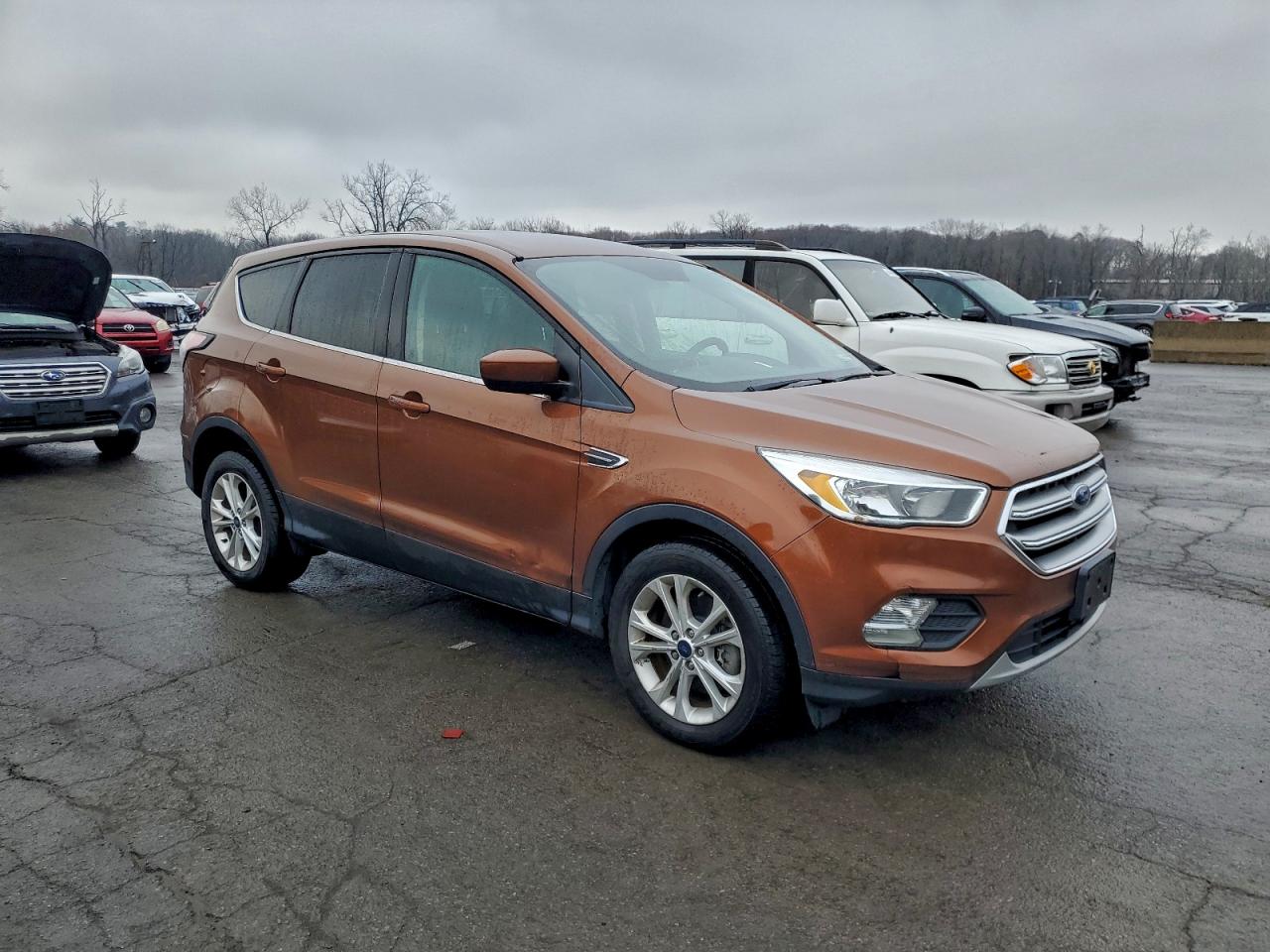 Lot #3301603682 2017 FORD ESCAPE SE