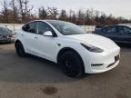 Lot #3311624247 2023 TESLA MODEL Y
