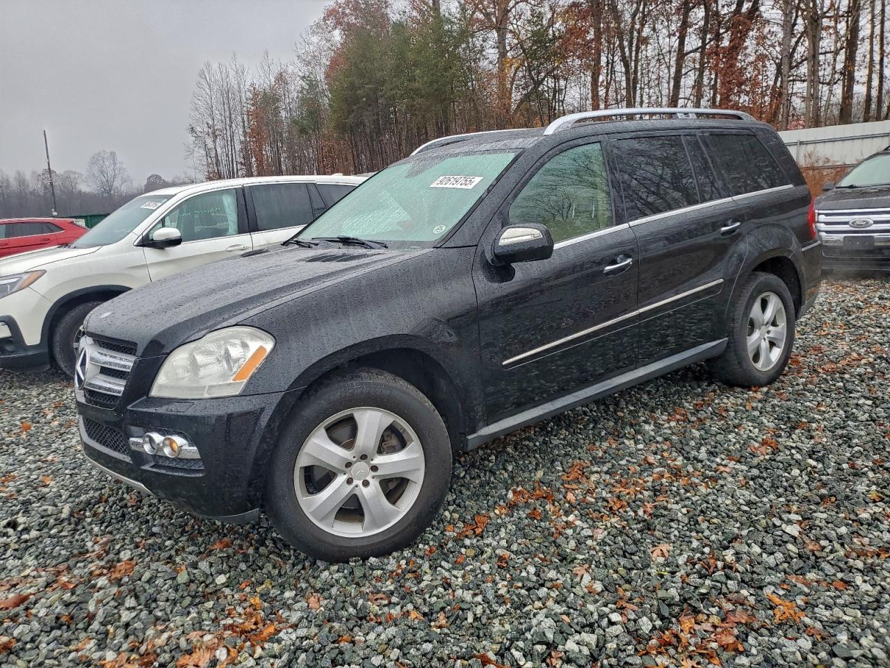 Lot #3302730037 2010 MERCEDES-BENZ GL 450 4MA