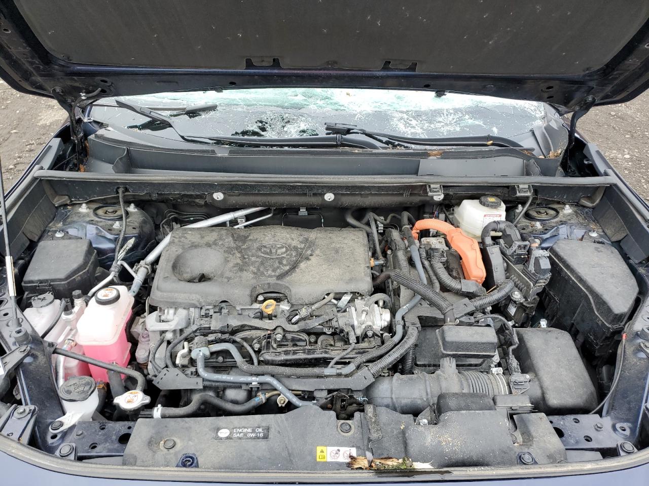 TOYOTA RAV4 XLE PREMIUM