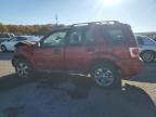 Lot #3296314449 2008 FORD ESCAPE XLT