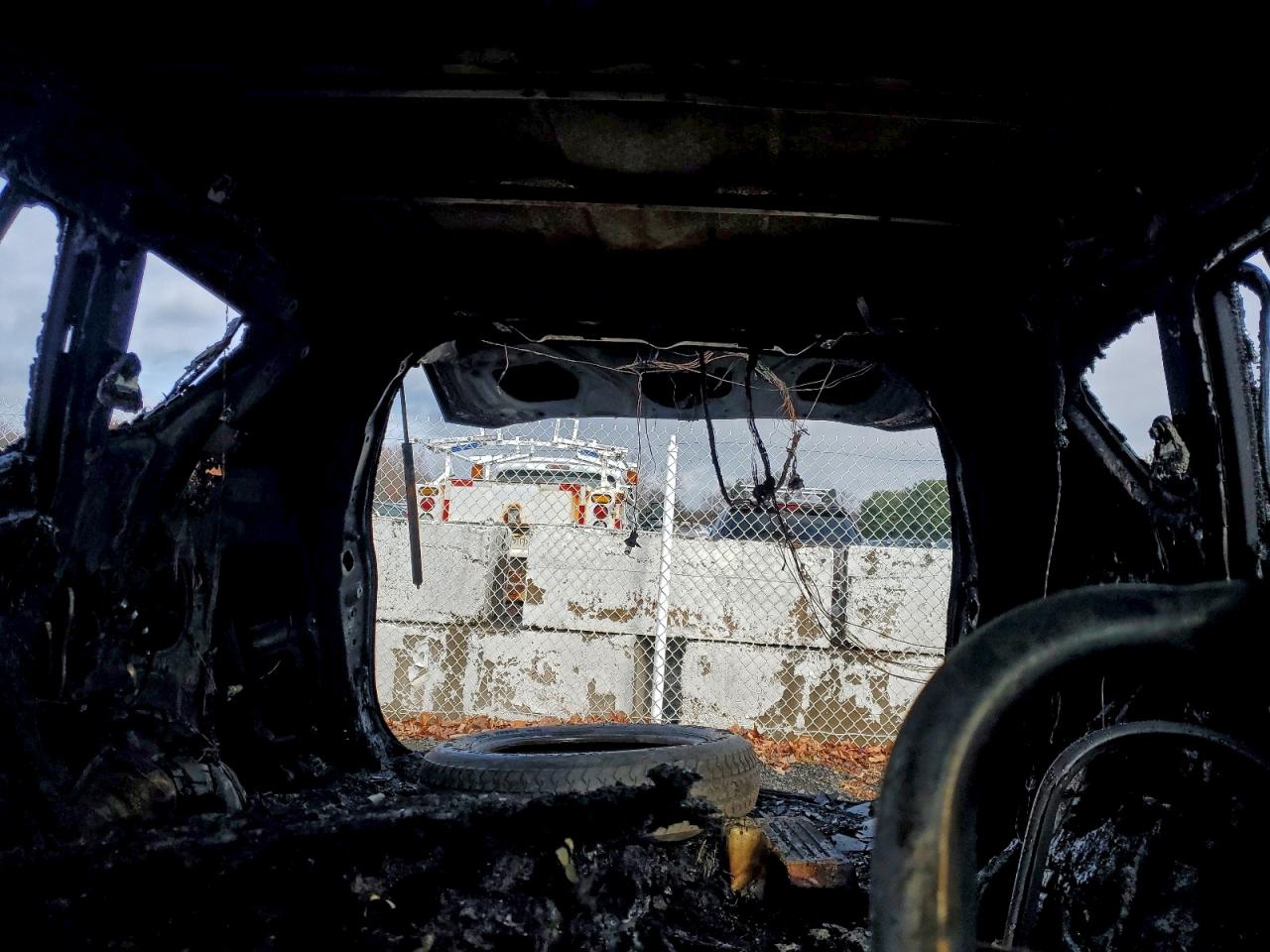 Lot #3311583772 2015 TOYOTA RAV4 LE