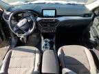 Lot #3304547436 2020 FORD ESCAPE SE