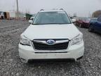 Lot #3293464430 2016 SUBARU FORESTER 2