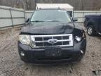 Lot #3304723935 2011 FORD ESCAPE XLT