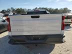 Lot #3304735911 2023 CHEVROLET SILVERADO