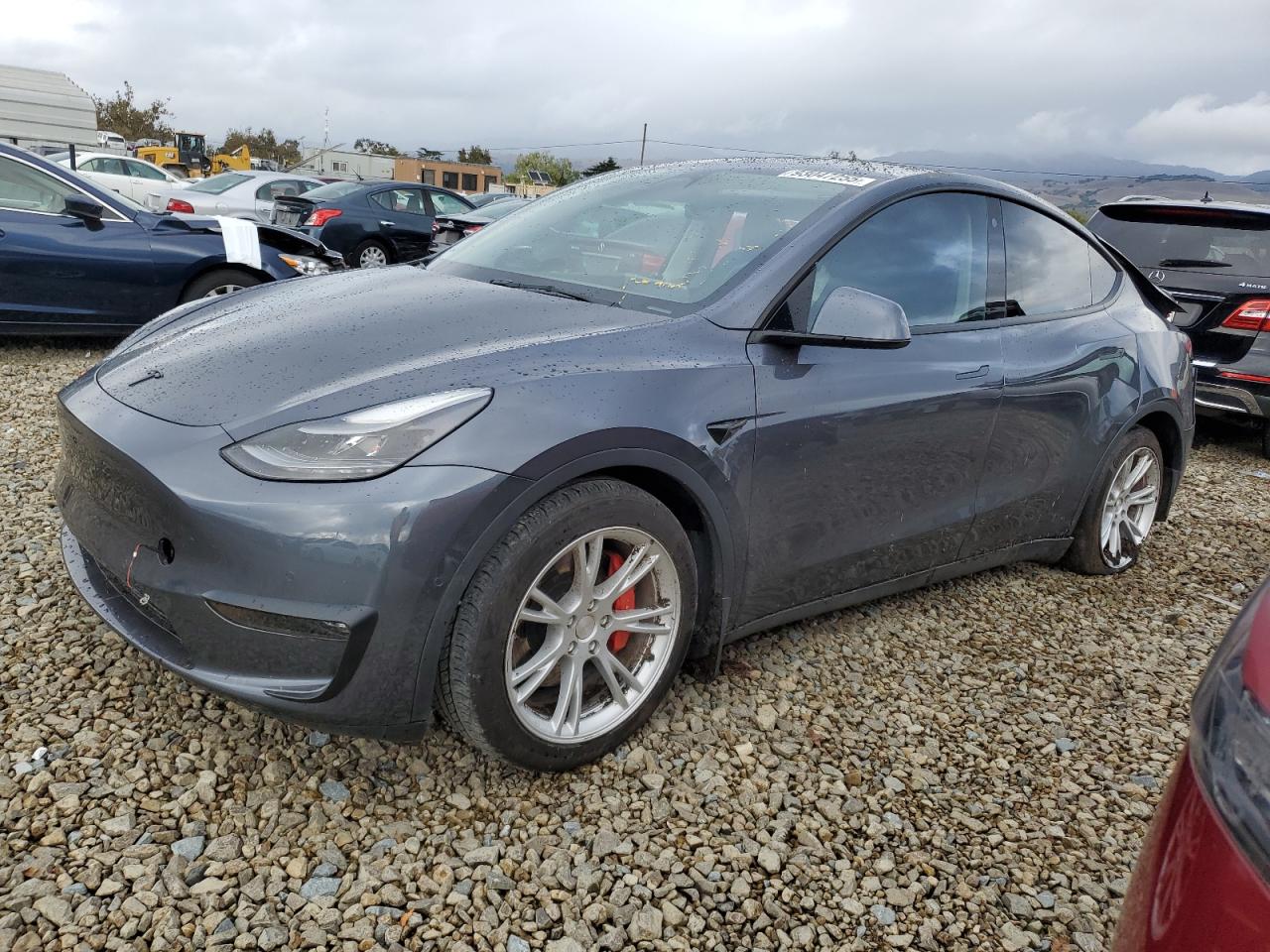 Lot #3312735187 2022 TESLA MODEL Y