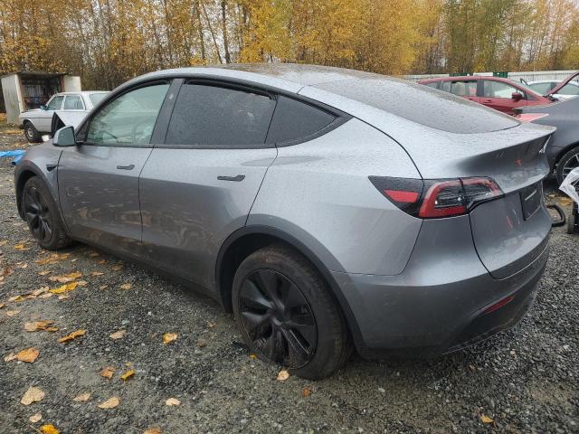 2025 TESLA MODEL Y #3302963643