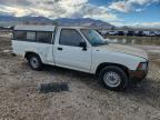 Lot #3292577869 1993 TOYOTA PICKUP 1/2