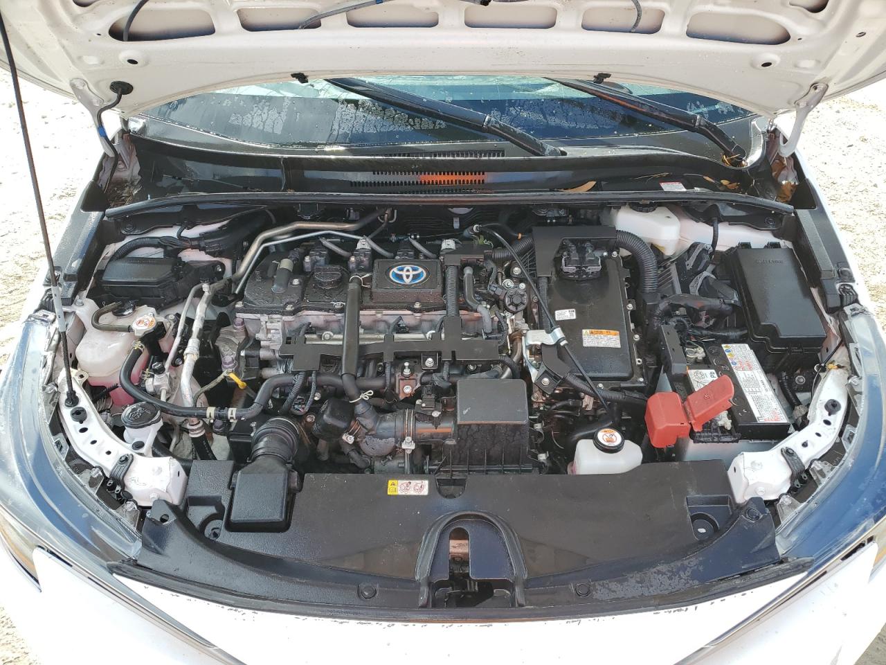 Lot #3301782350 2022 TOYOTA COROLLA LE