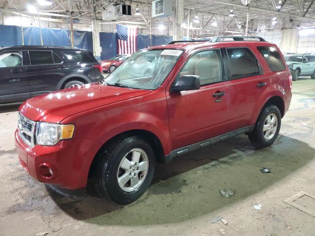 Global Auto Auctions: 2010 FORD ESCAPE XLT