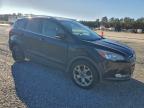 Lot #3297007355 2014 FORD ESCAPE TIT
