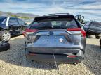 Lot #3304023588 2024 TOYOTA RAV4 XLE P