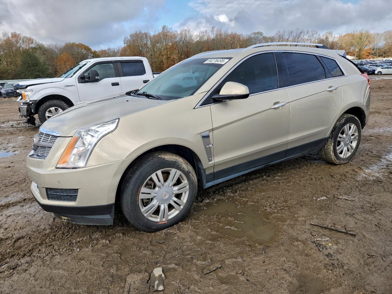 CADILLAC SRX LUXURY COLLECTION
