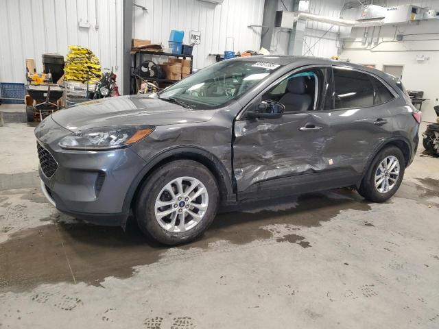 Global Auto Auctions: 2022 FORD ESCAPE SE