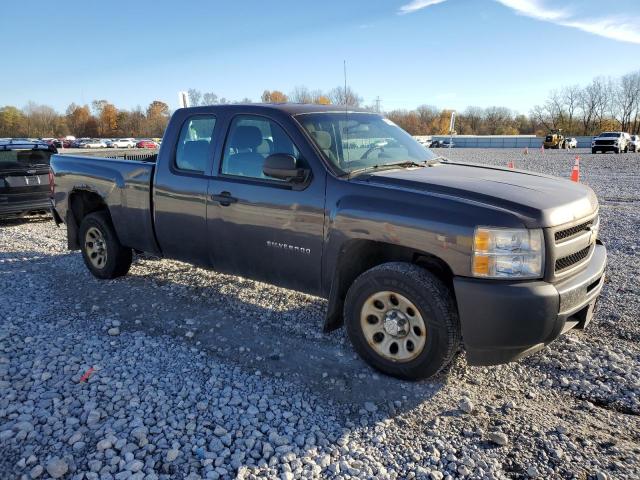 2010 CHEVROLET SILVERADO - 1GCSCPEX8AZ260724
