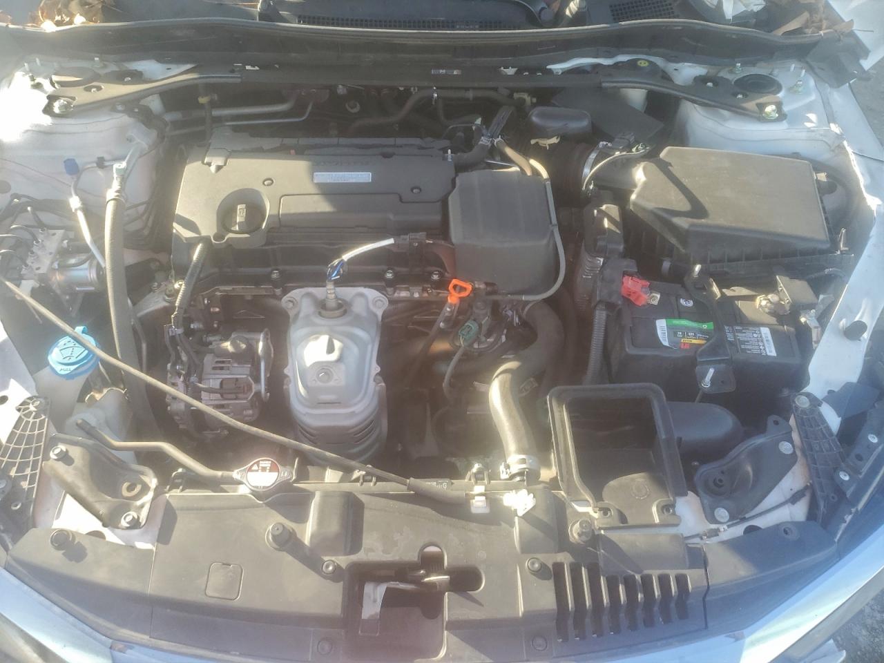 HONDA ACCORD SPORT SPECIAL EDITION