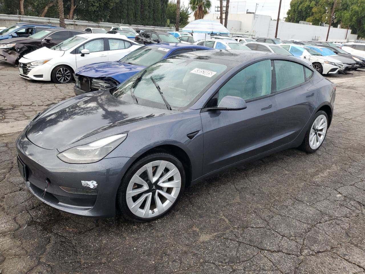 Lot #3308554534 2023 TESLA MODEL 3