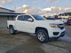 Lot #3304529435 2017 CHEVROLET COLORADO L