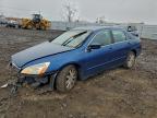Lot #3303878704 2006 HONDA ACCORD EX