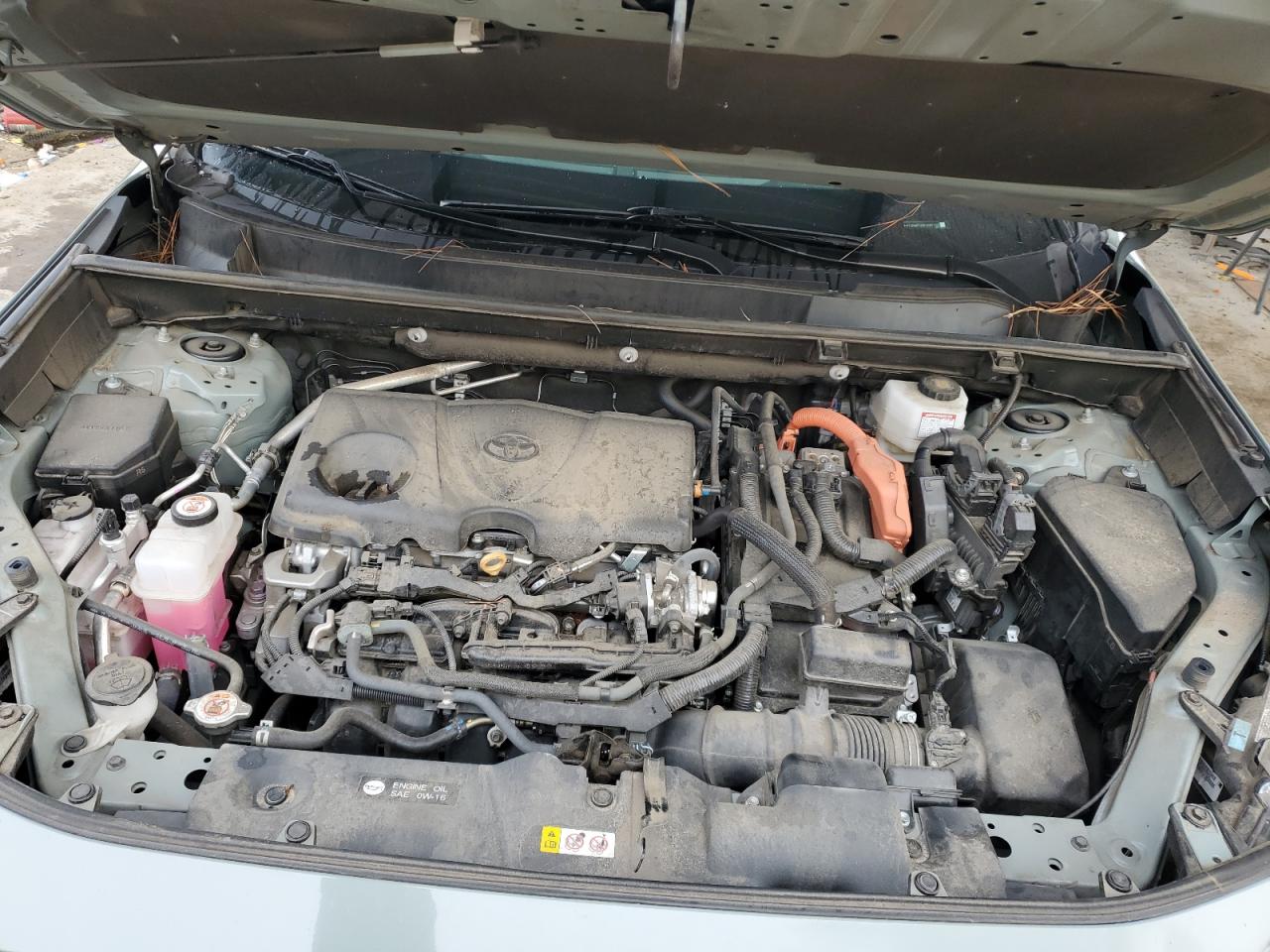 Lot #3296968818 2023 TOYOTA RAV4 XLE