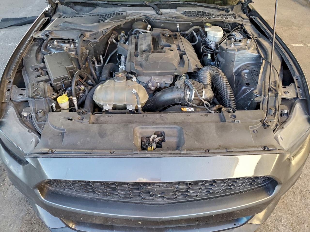 Lot #3315903080 2016 FORD MUSTANG