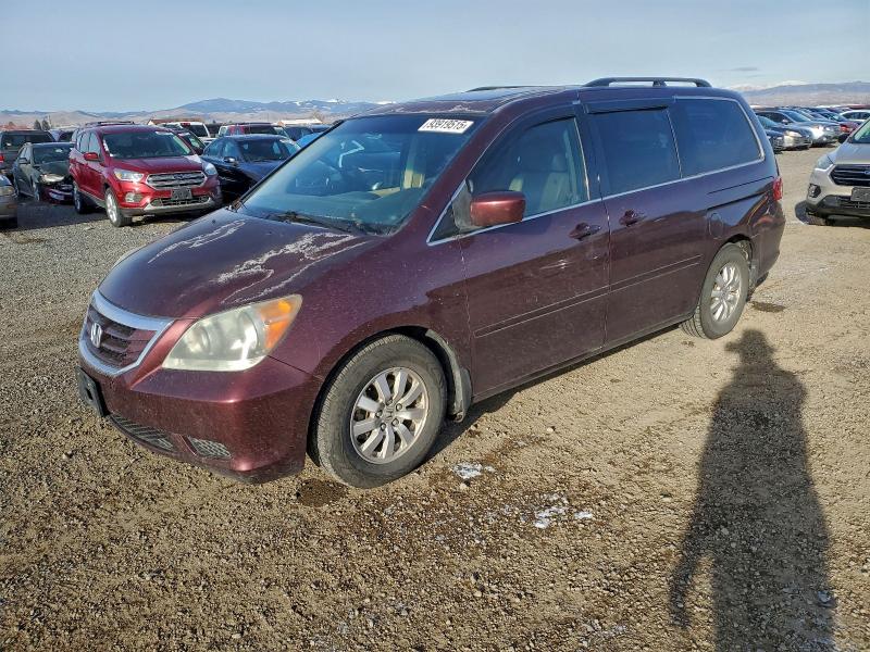 HONDA ODYSSEY EX