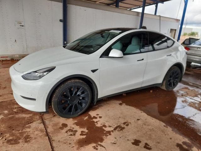 2020 TESLA MODEL Y #3308673281