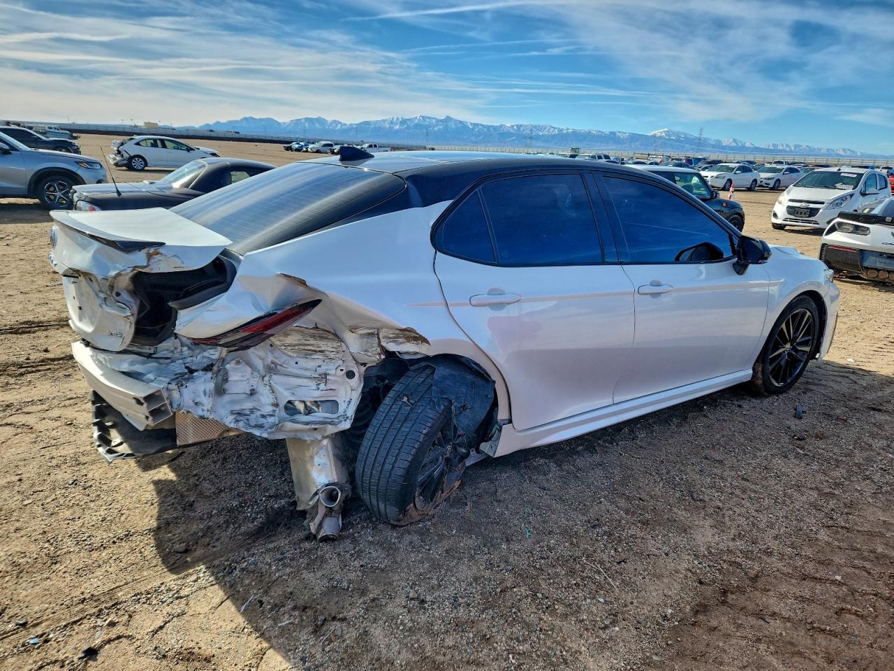 Lot #3302753024 2024 TOYOTA CAMRY TRD