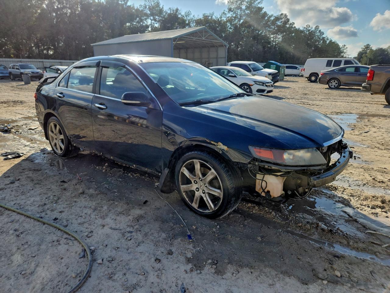 Lot #3301810343 2004 ACURA TSX