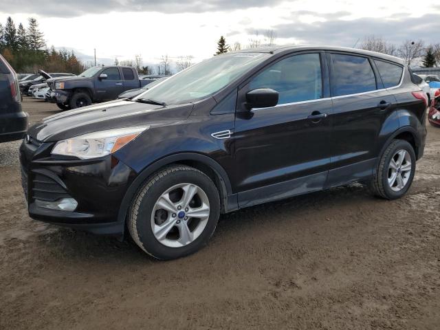 Global Auto Auctions: 2013 FORD ESCAPE SE