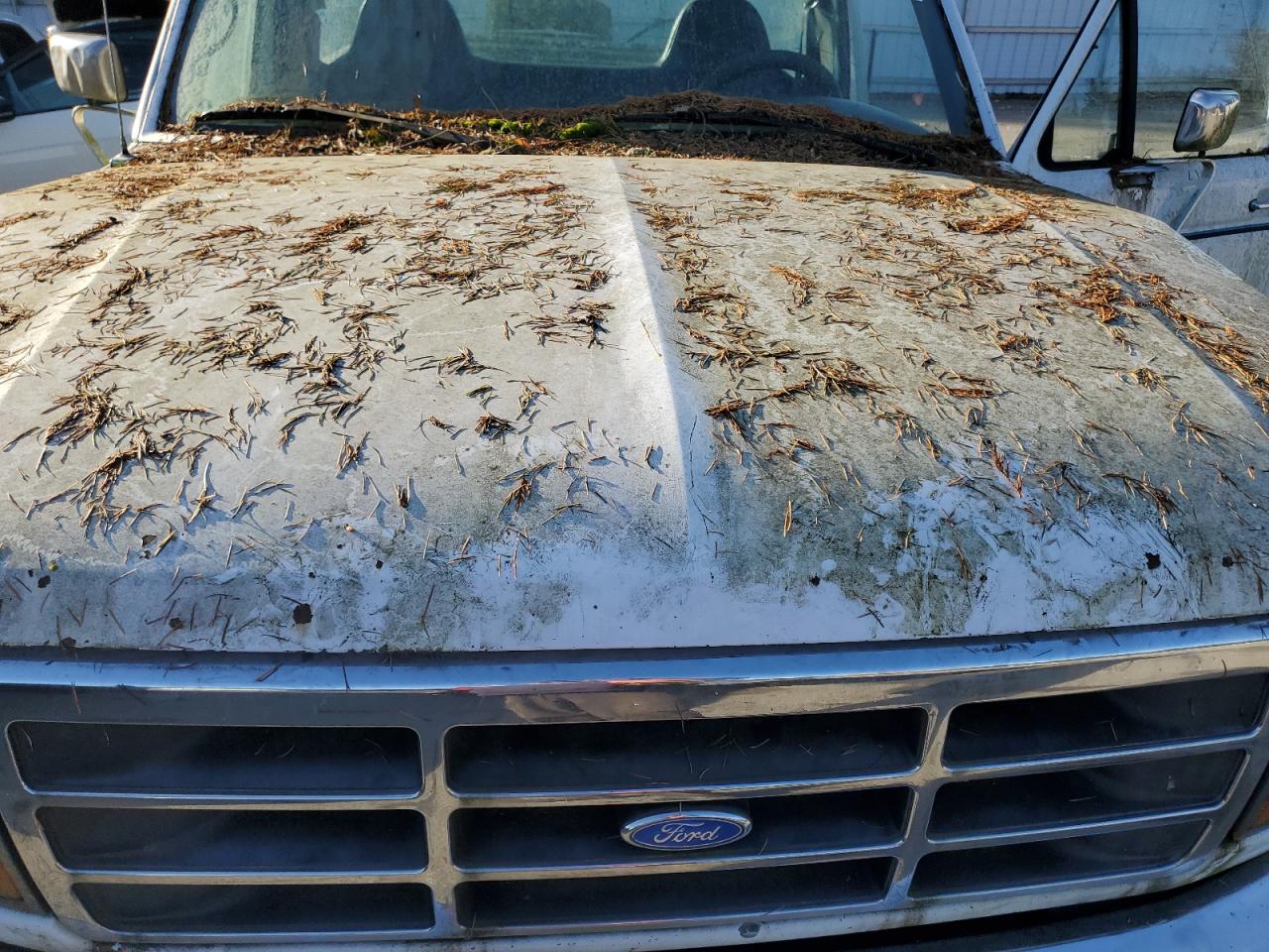 Lot #3284763525 1995 FORD F150