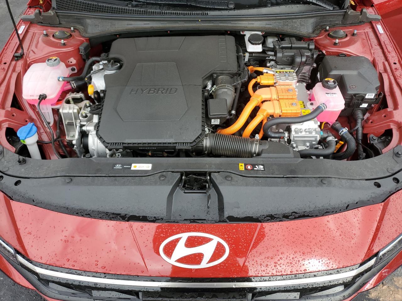 Lot #3315964085 2025 HYUNDAI ELANTRA LI