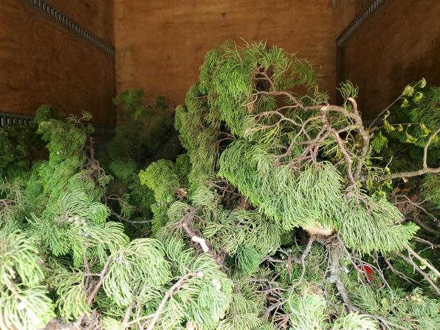 2008 GMC W4500 W450 #3296230431