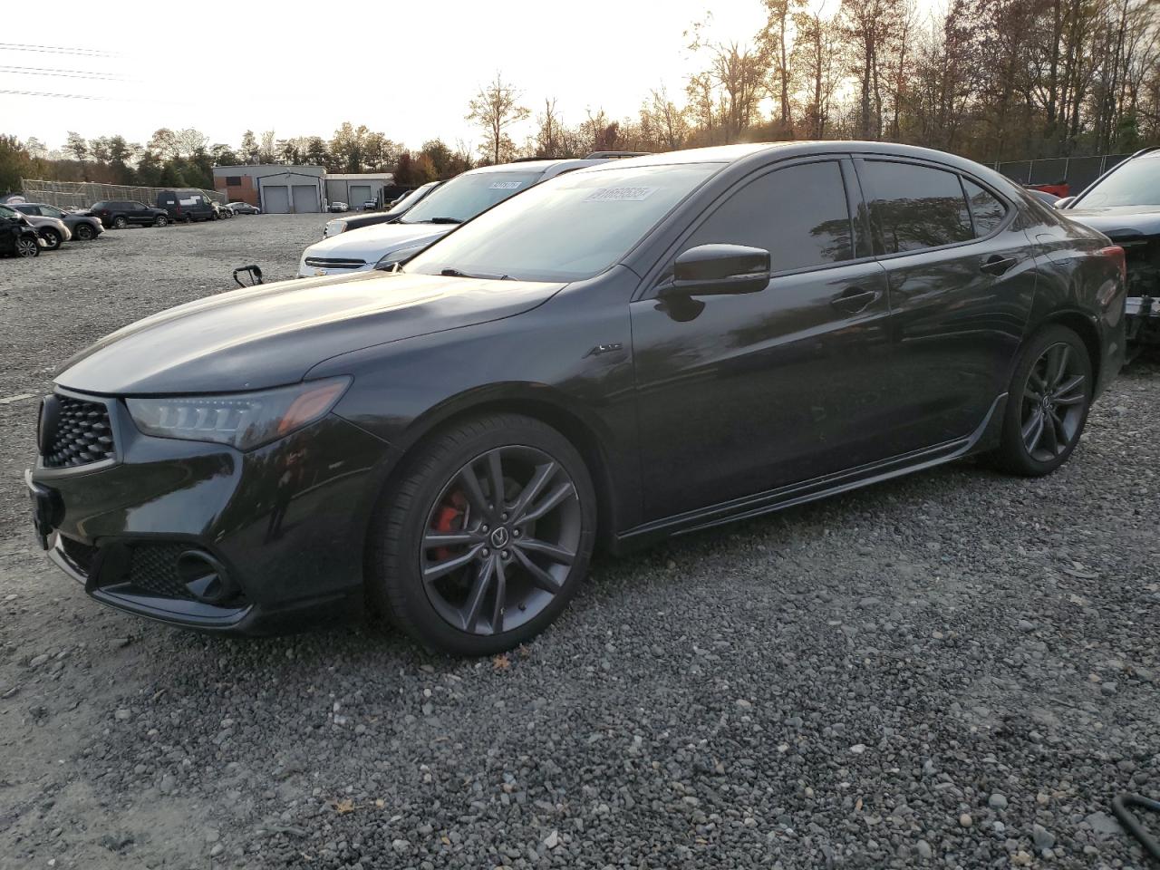 Lot #3302797945 2019 ACURA TLX TECHNO
