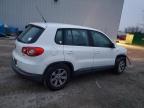 Lot #3303838514 2010 VOLKSWAGEN TIGUAN S