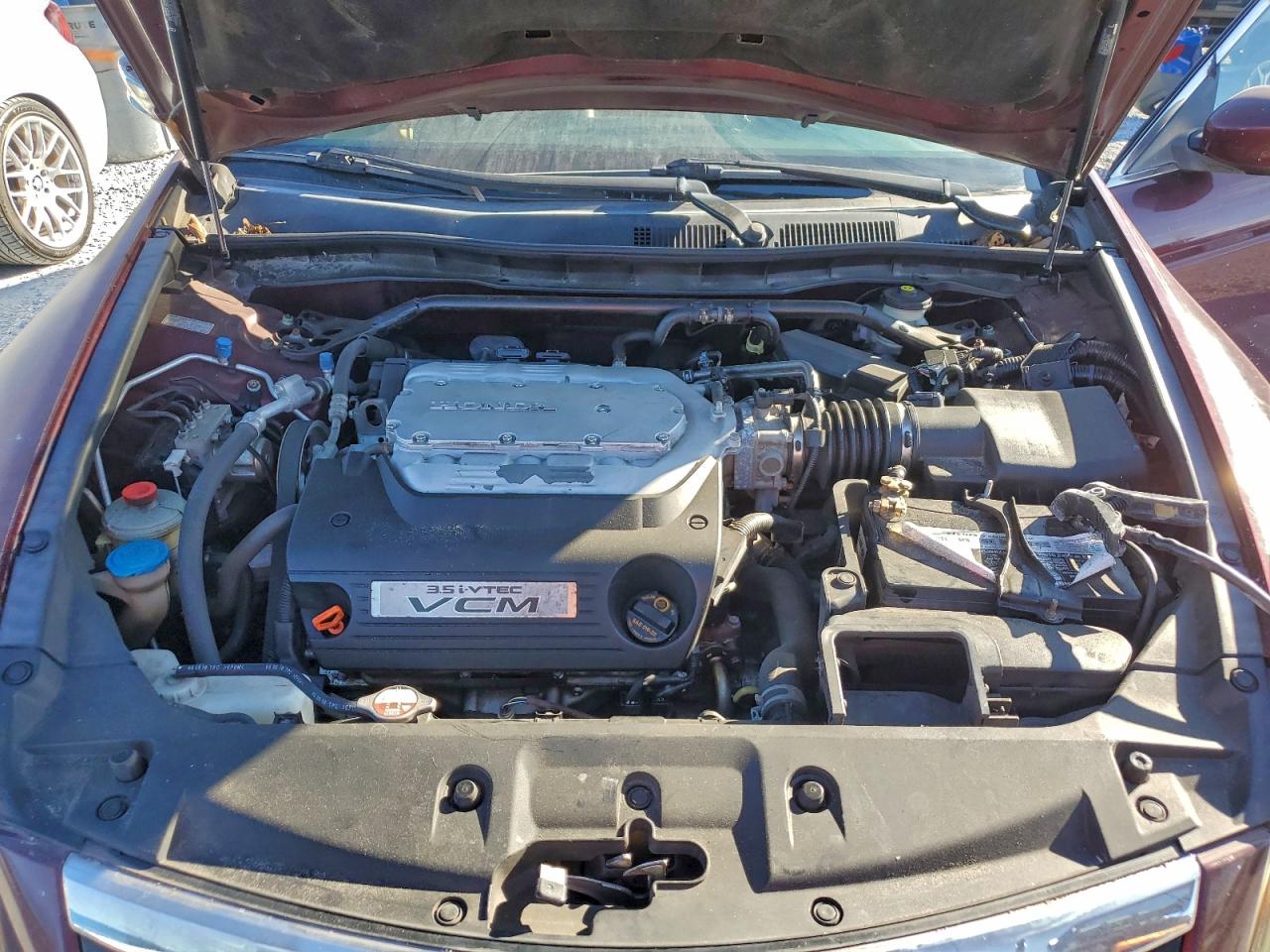 Lot #3317710086 2011 HONDA ACCORD EXL