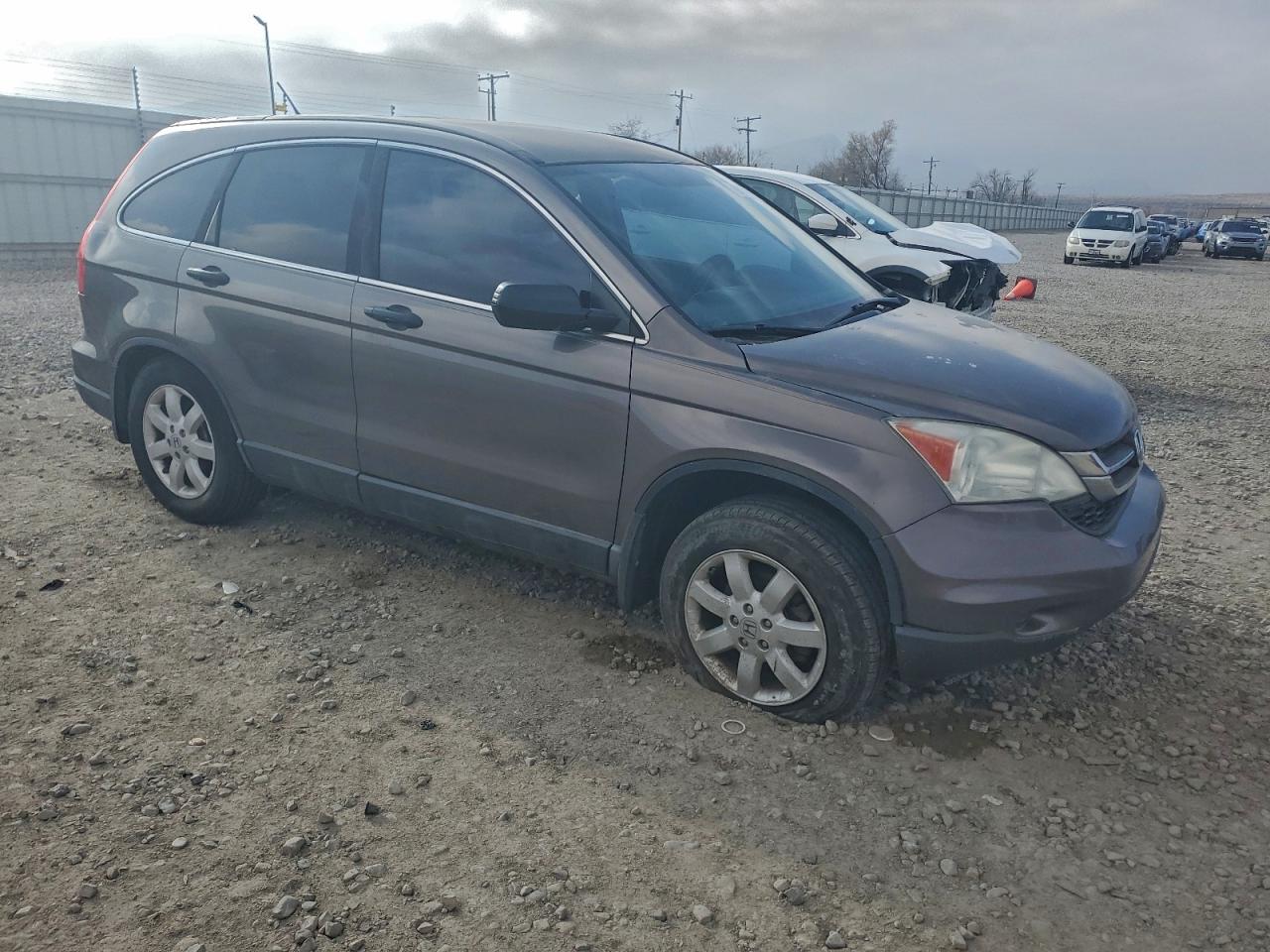 Lot #3296522398 2011 HONDA CR-V SE