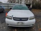 Lot #3308559530 2004 CHEVROLET CLASSIC