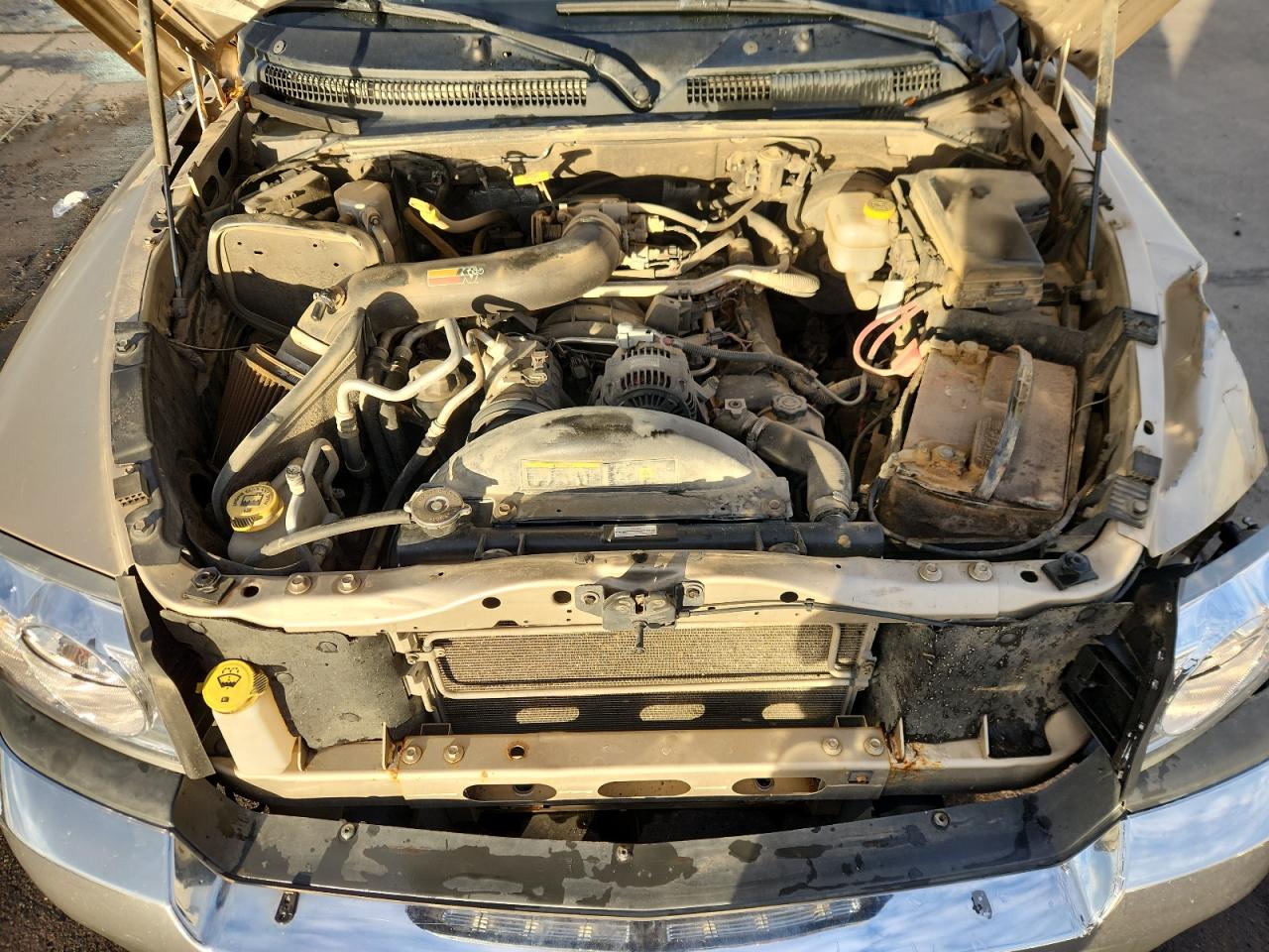 Lot #3286928233 2005 DODGE DAKOTA QUA