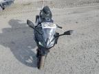 Lot #3303975714 2024 KAWASAKI EX500 H