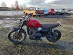 Lot #3298246043 2024 TRIUMPH MOTORCYCLE SCRAMBLER
