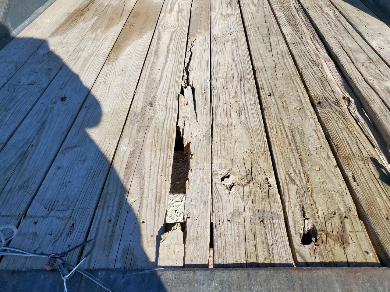 Lot #3283885419 2022 LAMAR UNKNOWN