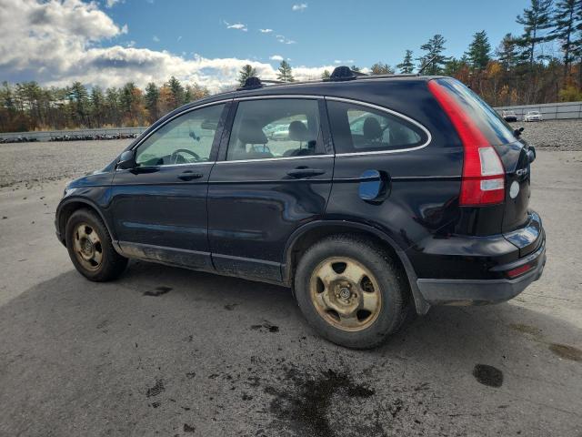 2011 HONDA CR-V LX - 5J6RE4H35BL111735