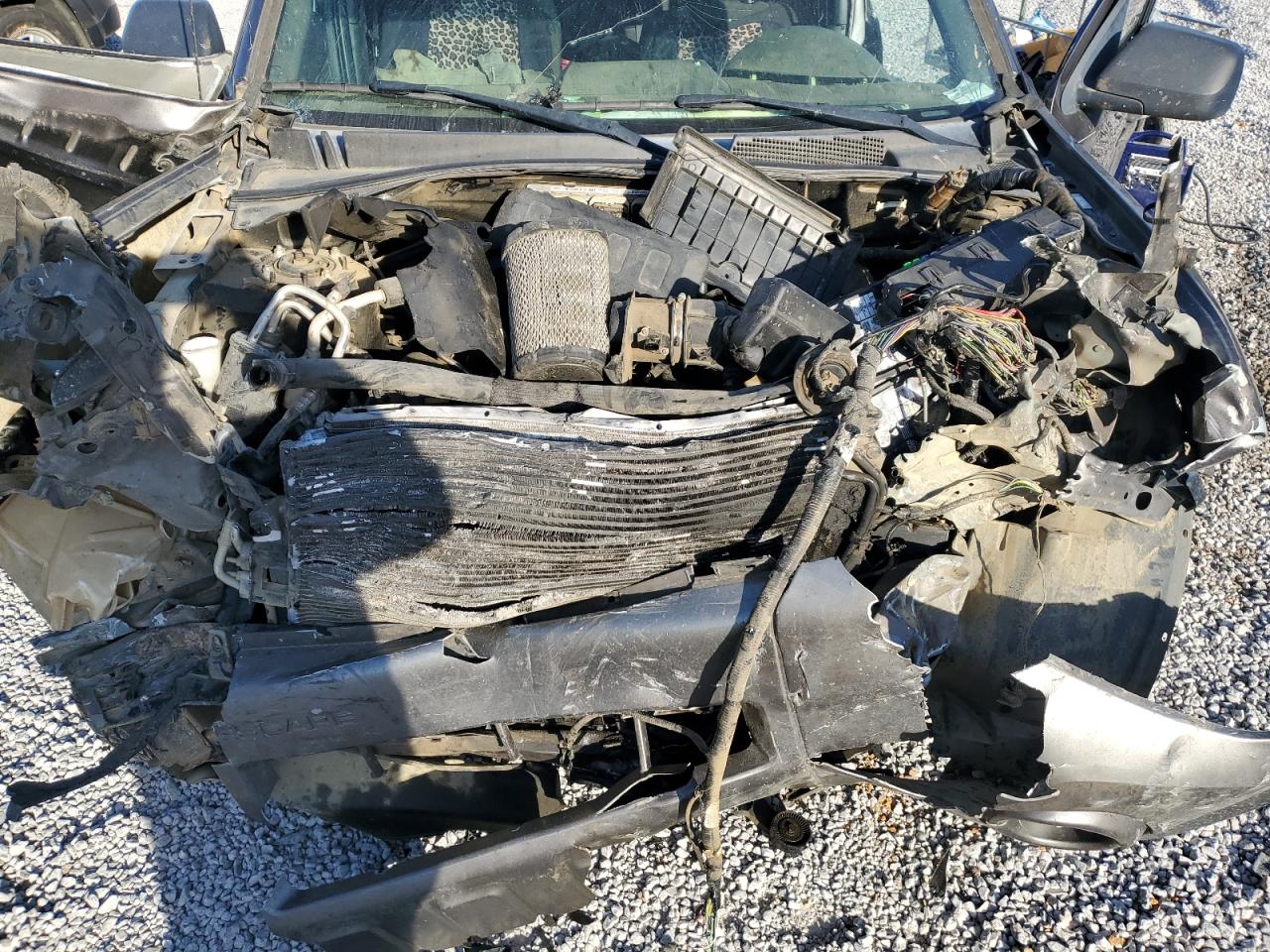 Lot #3296520337 2009 FORD ESCAPE XLT