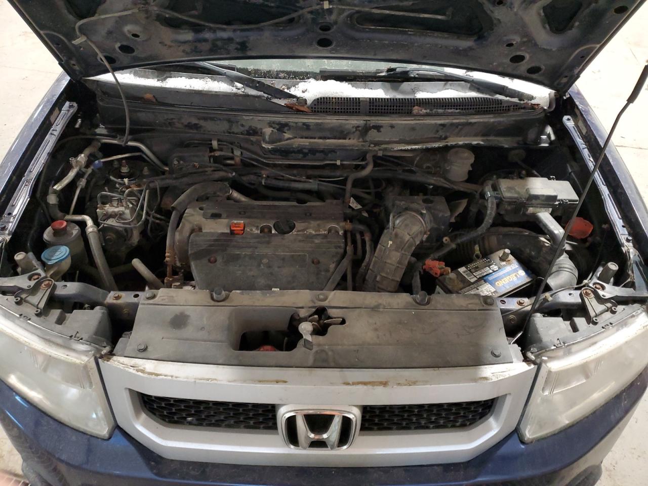 Lot #3302773361 2009 HONDA ELEMENT LX