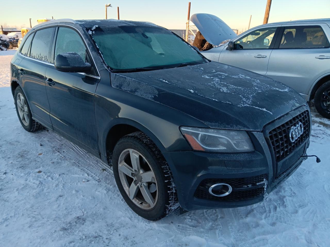 AUDI Q5 PREMIUM PLUS