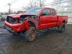 Lot #3304515521 2008 TOYOTA TACOMA PRE