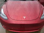 Lot #3298218030 2024 TESLA MODEL Y